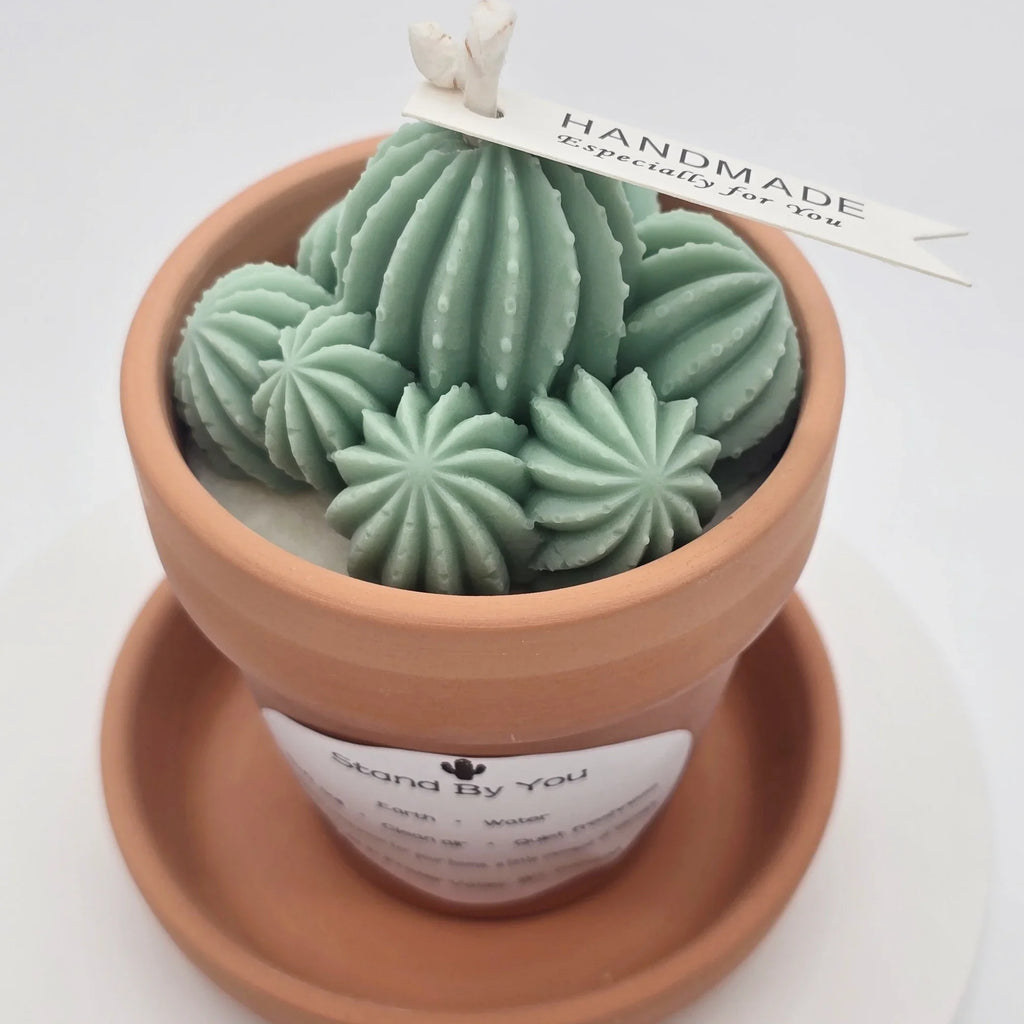 Stand_By_You_Cactus_Candle_A_Ritual_of_Calm_Resilience