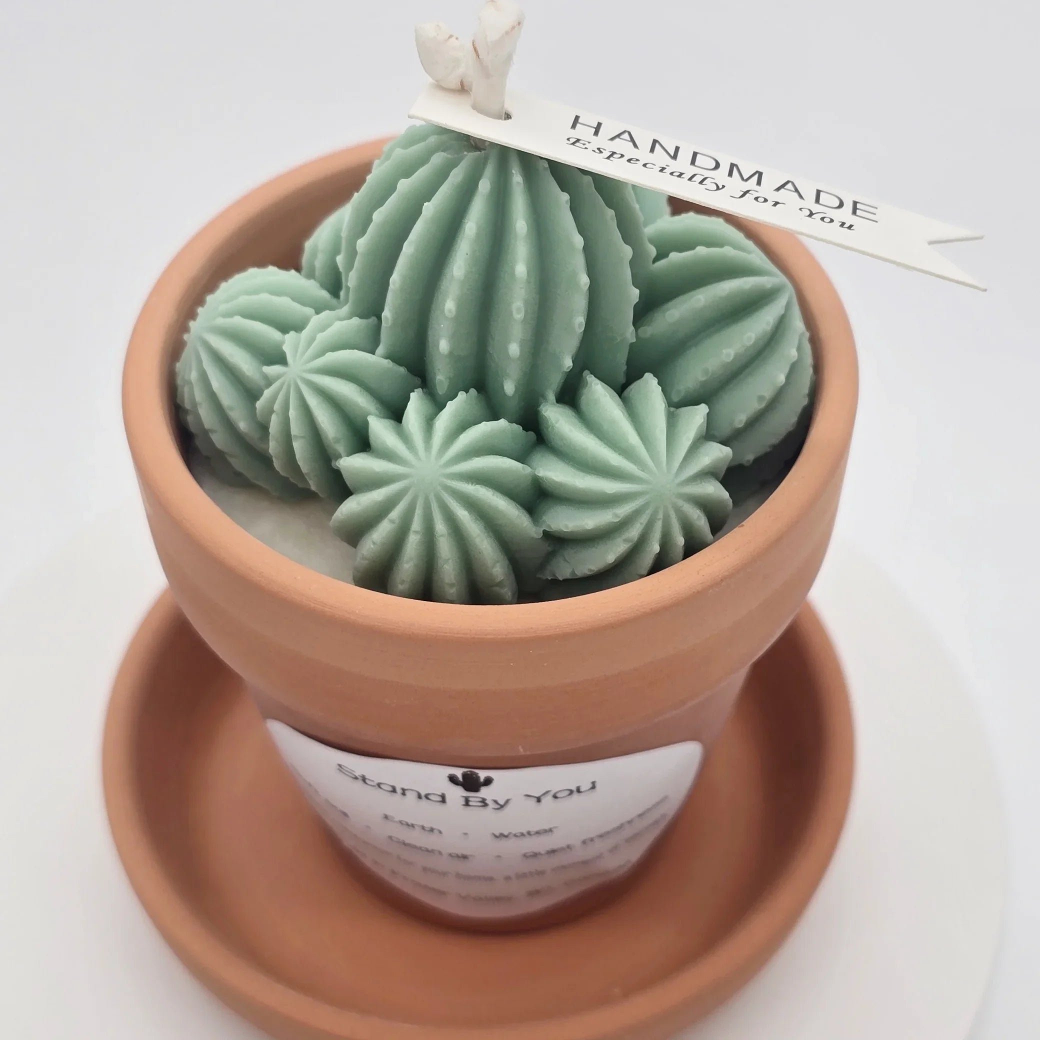 Stand_By_You_Cactus_Candle_A_Ritual_of_Calm_Resilience