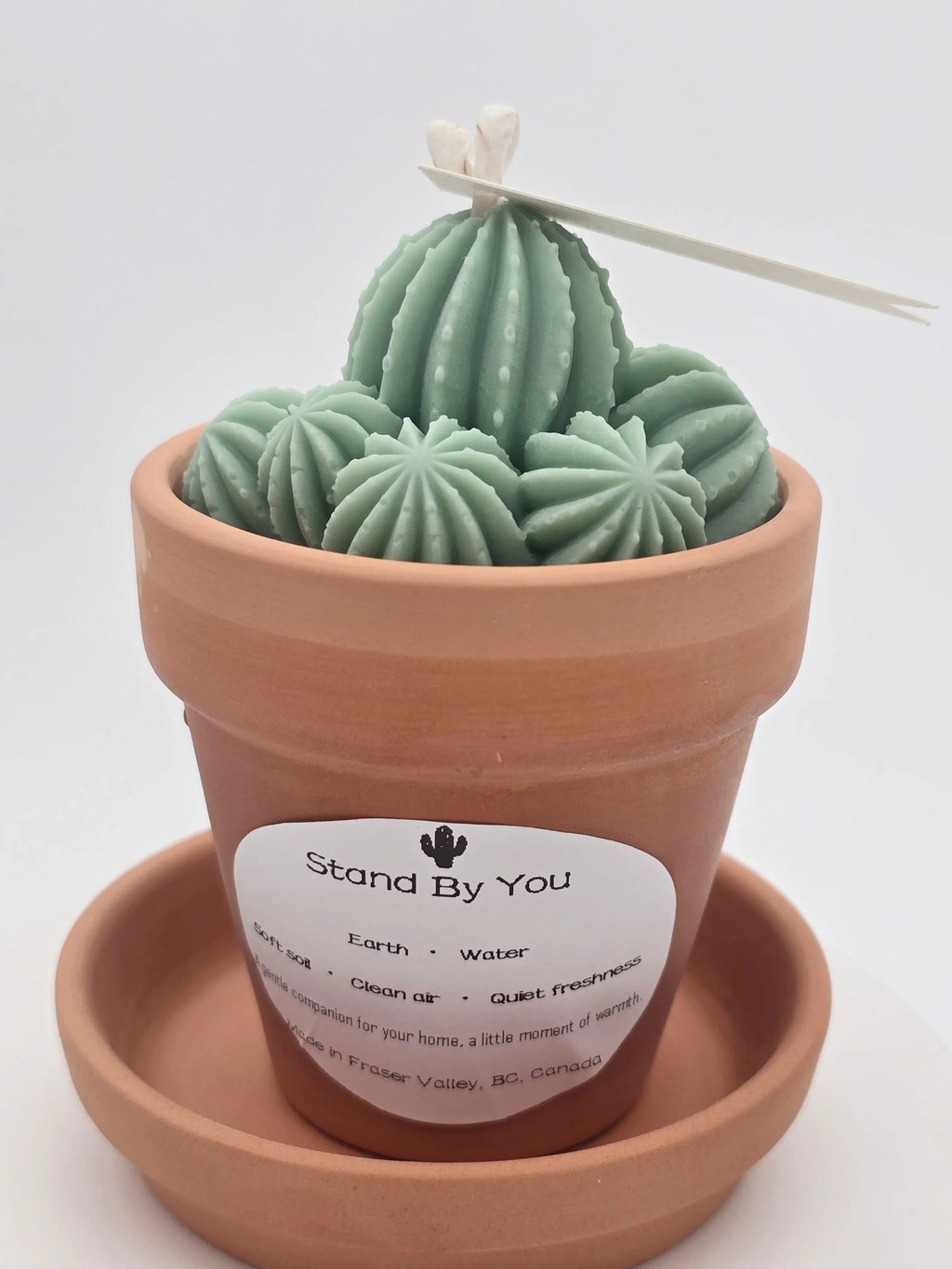 Stand_By_You_Cactus_Candle_A_Ritual_of_Calm_Resilience_Candle_for_Office
