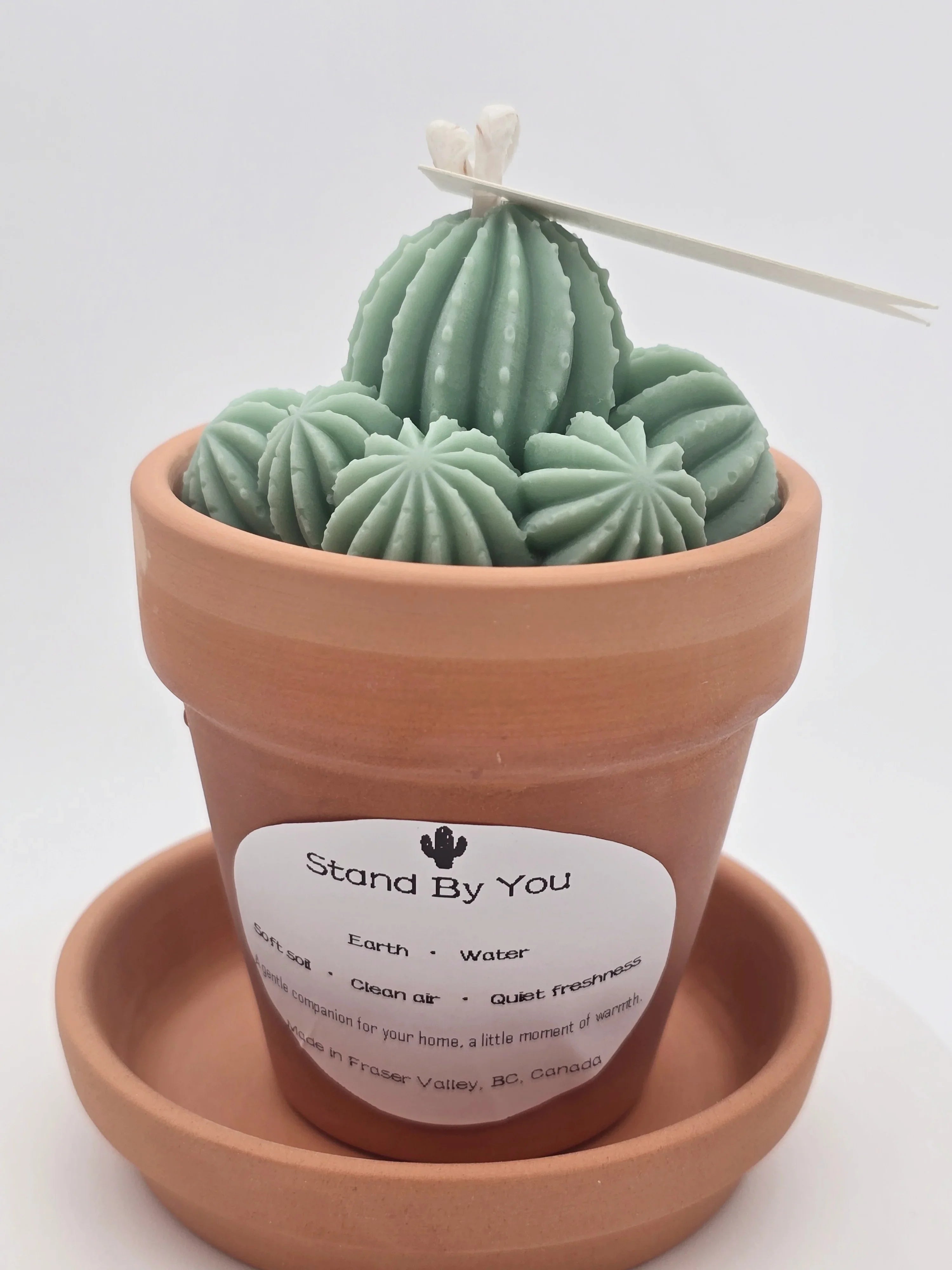 Stand_By_You_Cactus_Candle_A_Ritual_of_Calm_Resilience_Candle_for_Office