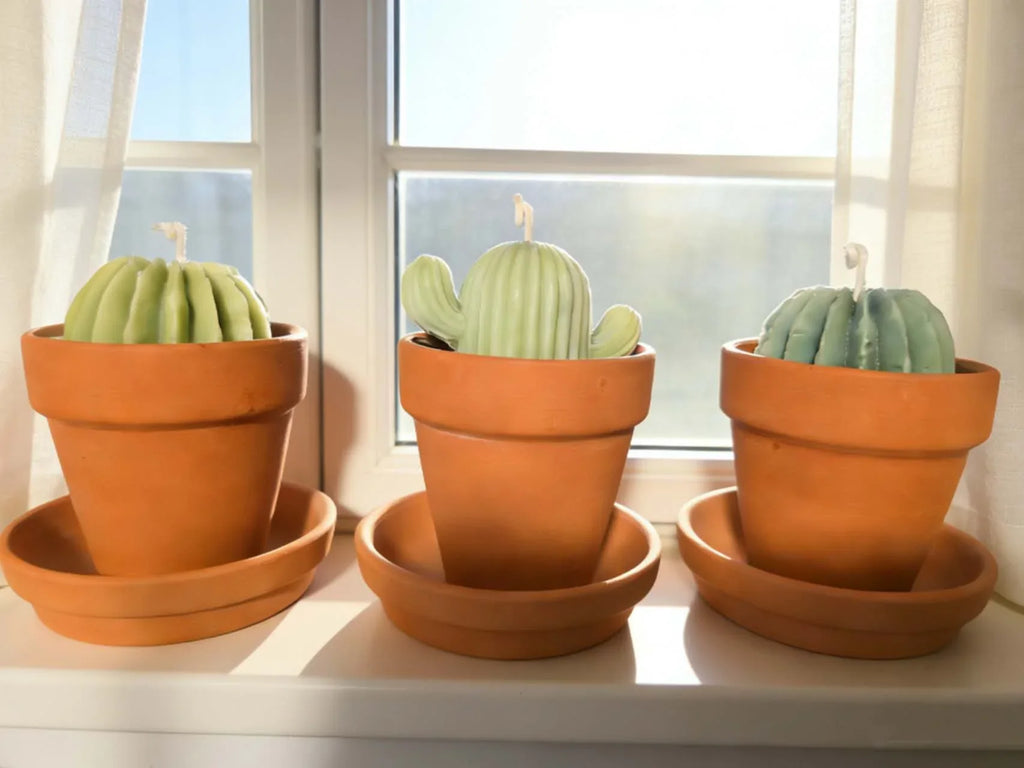 Stand_By_You_Cactus_Candle_A_Ritual_of_Calm_Resilience_Candle_for_desk_office_home