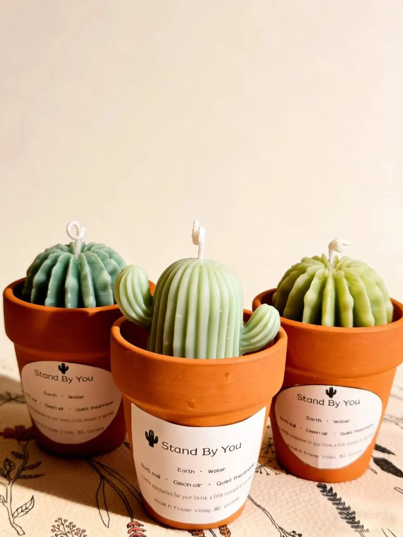 Stand_By_You_Cactus_Candle_A_Ritual_of_Calm_Resilience_Home_Decor