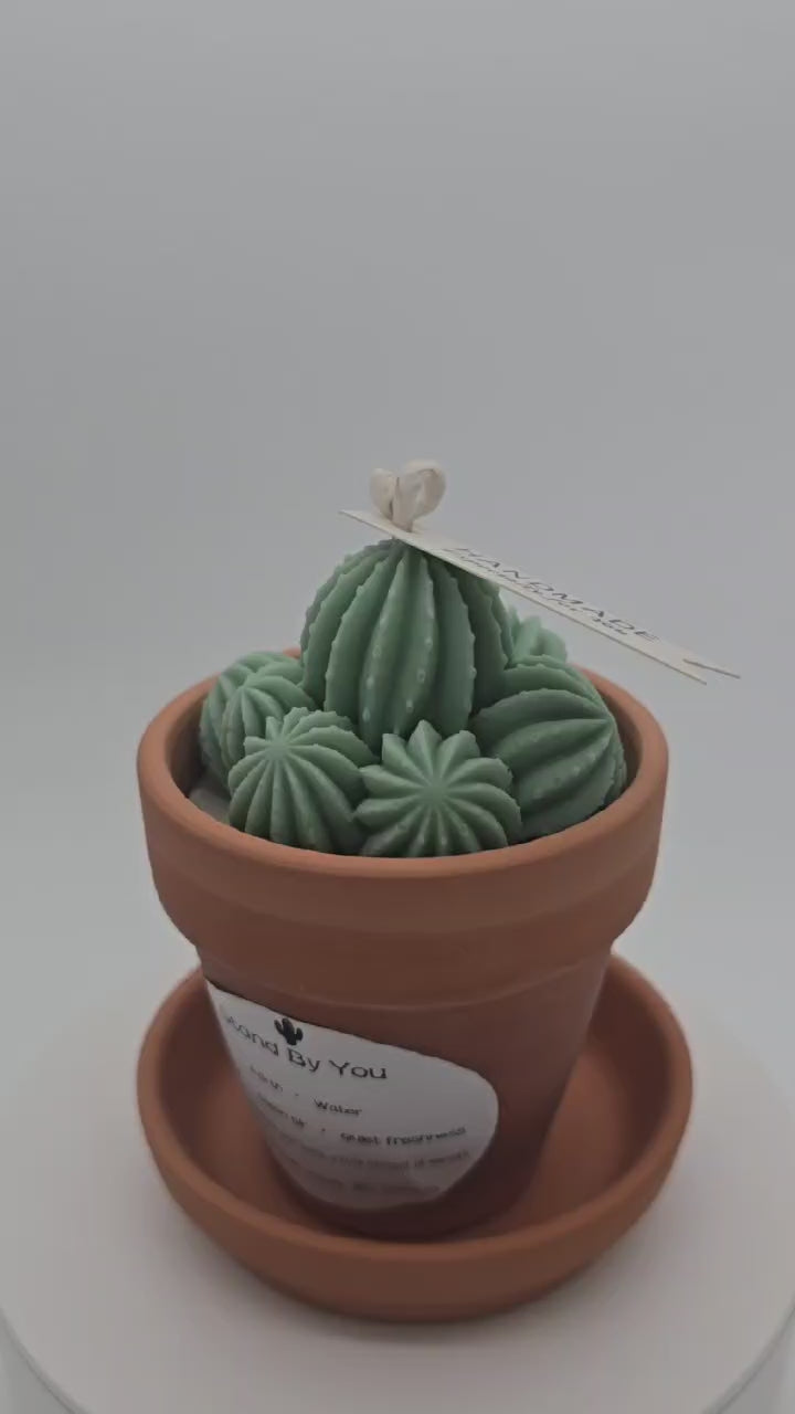 Stand_By_You_Cactus_Candle_A_Ritual_of_Calm_Resilience_Candle_for_desk_office_home